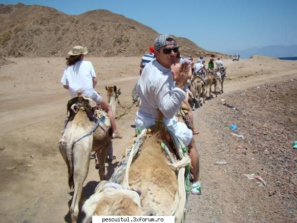 Egipt - Sharm El Sheikh - Nemernic - CALATORII SI INTALNIRI