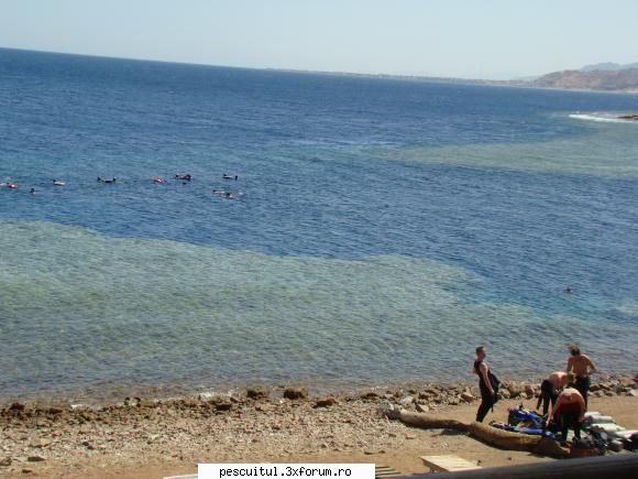 Egipt - Sharm El Sheikh - Ultima statie The Blue Hole din Dahab - CALATORII SI INTALNIRI