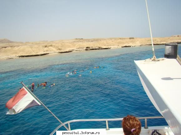 Egipt - Sharm El Sheikh - Sotia .... undeva prin multimea din apa... p.s - CALATORII SI INTALNIRI