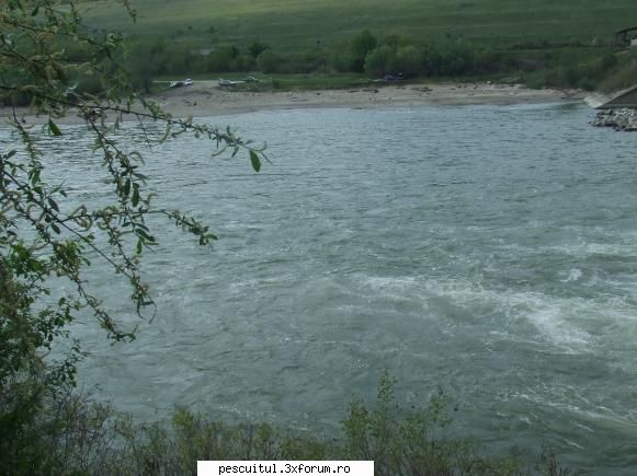 Filmulet si poze - flavius angling - POZELE MELE - PESCUIT