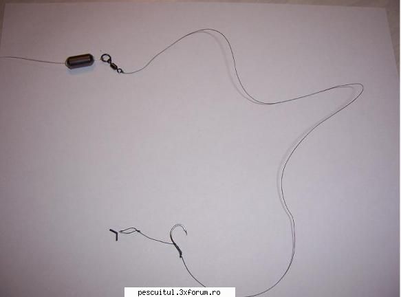 Hair rig - "fir de par". se foloseste la pescuitul crapului - DICTIONARUL PESCARULUI