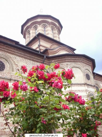 Hunedoara-Petrosani-Caracal-Sibiu-Hunedoara - DeyuXel - CALATORII SI INTALNIRI