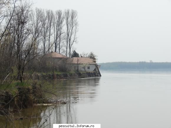Imagini funny - Iar acum ce a facut Dunarea - NEURONU` ZAMBARET - BANCURI , HAIOASE , FUNNY
