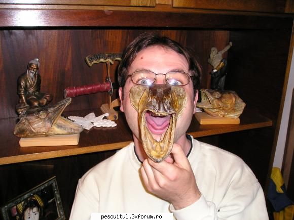 Imagini funny - STIMABILILOR...! AMAI APARUT O SPECIE DE - NEURONU` ZAMBARET - BANCURI , HAIOASE , FUNNY