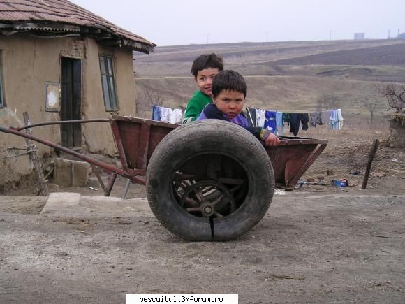 Imagini funny - Sau ultimul transport .......DE - NEURONU` ZAMBARET - BANCURI , HAIOASE , FUNNY