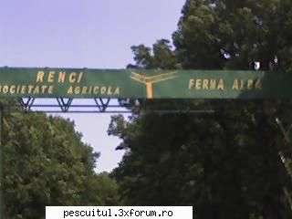 Imagini funny - undeva pe la Scornicesti - NEURONU` ZAMBARET - BANCURI , HAIOASE , FUNNY