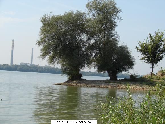 Incepator la Ara - AI MERS LA ARA ?..................AI DEVENIT - PESCUIT LA DUNARE SI IN DELTA DUNARII
