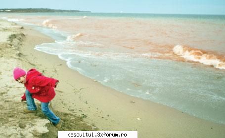 Incredibil!Marea Neagra a devenit Marea Rosie!!! - Eu nu sunt din acea zona - DISCUTII DIVERSE DESPRE PESCUIT