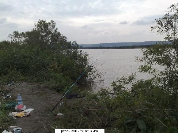 Jiul la Craiova - Am fost de multe ori in lac, de fapt am fost de - PESCUITUL PE RAURI (altele decat Dunarea)