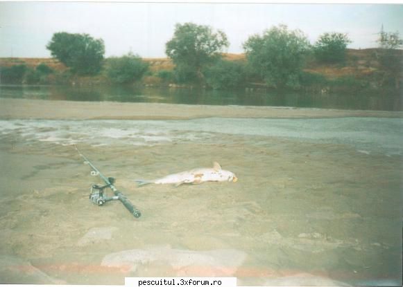 Jiul la Craiova - In toamna lui '98 am descoperit pescuitul pe - PESCUITUL PE RAURI (altele decat Dunarea)