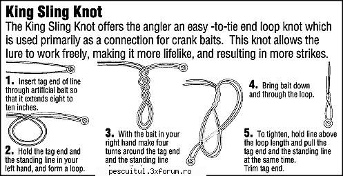 King Sling Knot - King Sling Knot - NOTIUNI DE BAZA IN PESCUIT