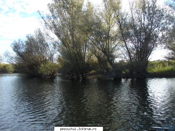 La pescuit in ,, Rai " - valy - POZELE MELE - PESCUIT