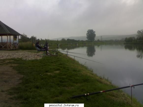 La pescuit pe lacul Mica jud. Cluj - Poze pe lacul Mica - LOCURI DE PESCUIT - BALTI