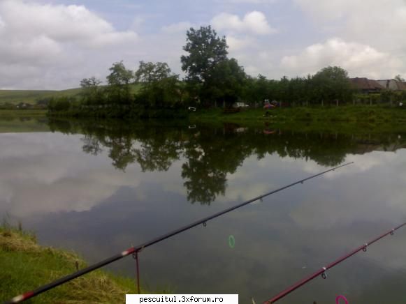 La pescuit pe lacul Mica jud. Cluj - forraialina - LOCURI DE PESCUIT - BALTI