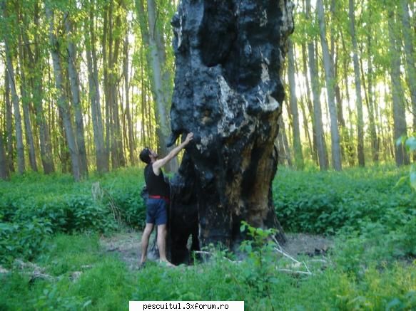 La peste ...... ,, pe alta planeta " !!! - Modigliani - LOCURI DE PESCUIT - BALTI