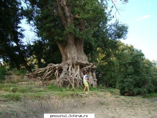 La peste ...... ,, pe alta planeta " !!! - Alt loc ,, uitat de lume " ! Care - LOCURI DE PESCUIT - BALTI
