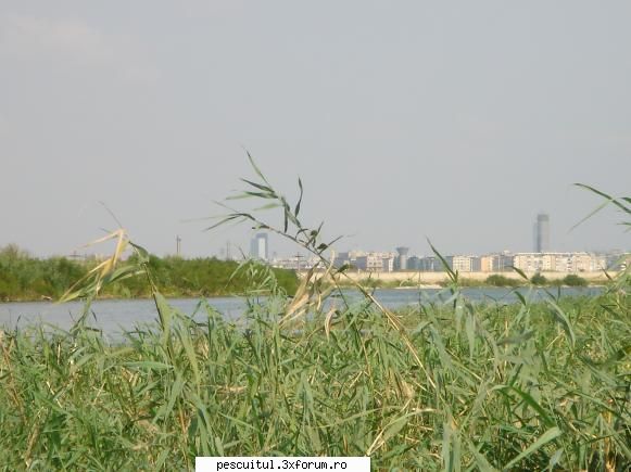 Lacul Morii - Bucuresti - Si-am vorbit , si-am tot vorbit , si dupa ce-am - LOCURI DE PESCUIT - BALTI