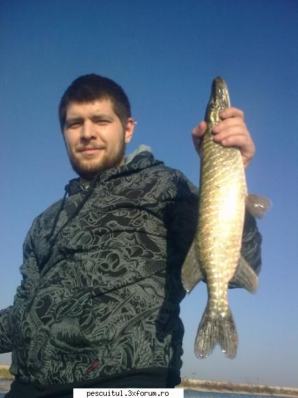 Lacul Morii - Bucuresti - Azi ..... intre 14 30 si 16 45 ...... AM RUPT-O - LOCURI DE PESCUIT - BALTI