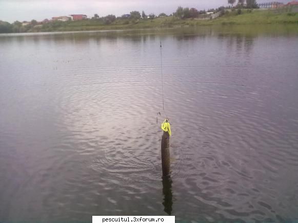 Lacul Morii - Bucuresti - Uite si-unul dintre ,, stilouri " - LOCURI DE PESCUIT - BALTI