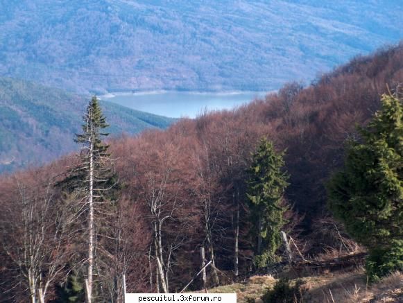 Lacul Poiana Uzului - jud Bacau (pastrav, clean , stiuca) - Lacul de acumulare Poi - LOCURI DE PESCUIT - BALTI