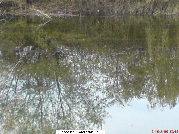 ,,Lacul secret,, - forraialina - LOCURI DE PESCUIT - BALTI