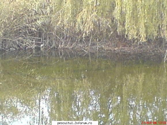 ,,Lacul secret,, - forraialina - LOCURI DE PESCUIT - BALTI