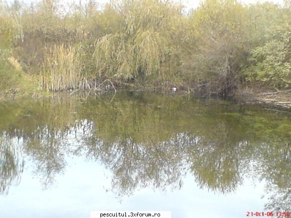 ,,Lacul secret,, - forraialina - LOCURI DE PESCUIT - BALTI