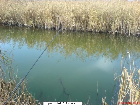 ,,Lacul secret,, - forraialina - LOCURI DE PESCUIT - BALTI