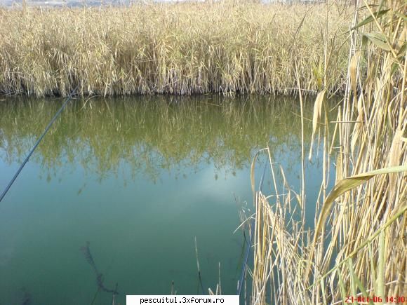 ,,Lacul secret,, - forraialina - LOCURI DE PESCUIT - BALTI