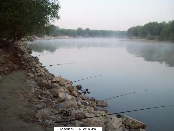 Locuri pescuit jud Galati - In apropriea curbei - LOCURI DE PESCUIT - BALTI