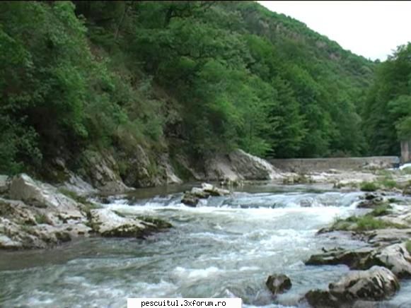 Logistica pentru pescari - va multumesc asa si voi face voi plati prin - CAFENEA - DISCUTII OFF TOPIC