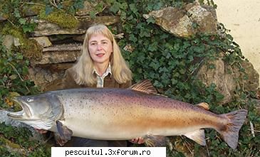 Lostrita - Pescuitul lostritei - Recordul mondial category: other methods (mounted - SPECII DE PESTI