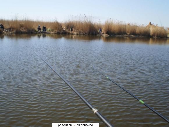 Maine merg la pescuit! - Fishbones - PESCUIT STATIONAR