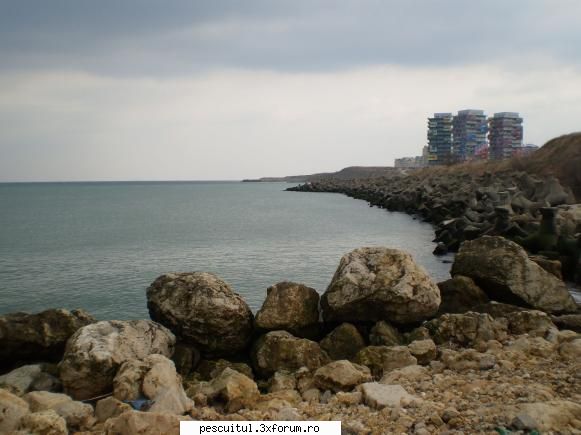 Marea, iarna - Fishbones - DISCUTII DIVERSE DESPRE PESCUIT