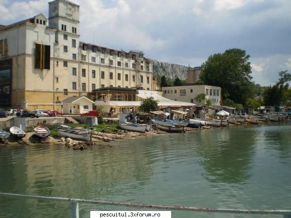 Marea la bulgari - Fishbones - POZELE MELE - PESCUIT