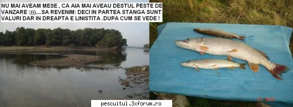 Mergem la PESCUIT ??? - cataimob - CALATORII SI INTALNIRI