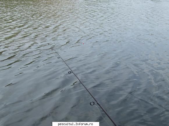 Metoda stalking- Stalking fishing - Este de mentionat ca nu trebuie lansat - TEHNICI DE PESCUIT LA CRAP