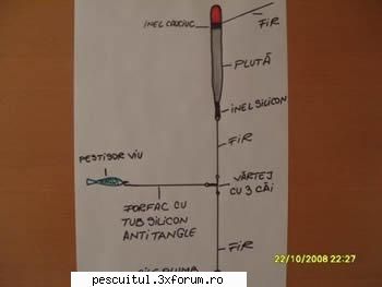 Montura cu pestisor viu , intre ape - Se poate folosi aceasta montura si cu pluta...pe - PESCUIT STATIONAR