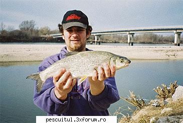 Morunas - Pescuitul morunasului - Recordul mondial category: rod & reel weight - SPECII DE PESTI