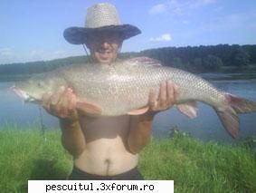 Mreana - Pescuitul mrenei - O mreana de 6kg prinsa pe Dunare- in zona - SPECII DE PESTI