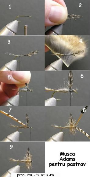 Musca Adams pentru pescuit la pastrav - Musca Adams se preteaza in Romania pentru - PESCUIT - FLY FISHING
