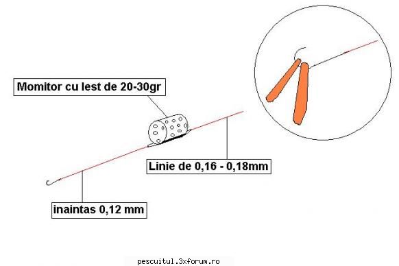 Nada Scobar. - am uitat ca trebuie jpeg........viermuși - PESCUITUL ALTOR SPECII DE PESTI