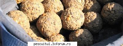 Nade si momeli pentru pescuitul carasului - Am folosit cu succes mamaliga - PESCUITUL ALTOR SPECII DE PESTI