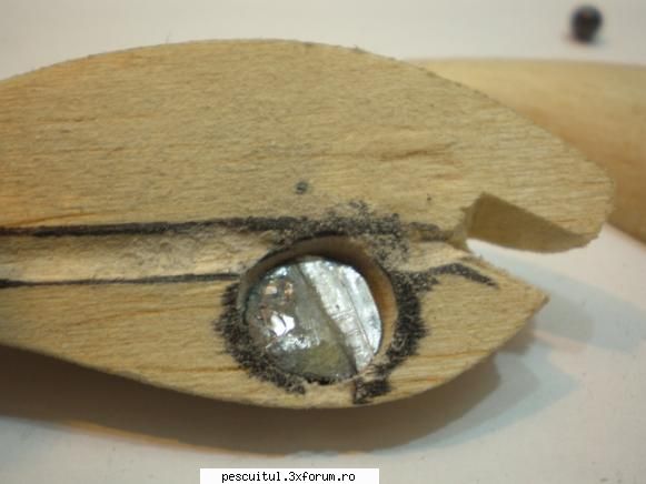 Naluci - Constructia unui vobler (cu poze) - Pasul 17 Cam asa - ATELIER - HOME MADE , BRICO