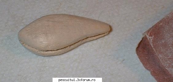Naluci - Constructia unui vobler (cu poze) - Ovi_1919 - ATELIER - HOME MADE , BRICO