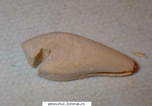 Naluci - Constructia unui vobler (cu poze) - Ovi_1919 - ATELIER - HOME MADE , BRICO