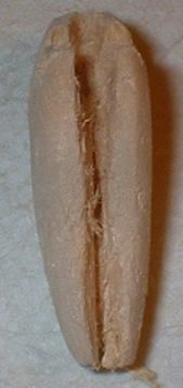 Naluci - Constructia unui vobler (cu poze) - Ovi_1919 - ATELIER - HOME MADE , BRICO