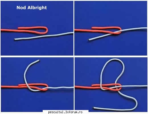 Nodul Albright - mircea - NOTIUNI DE BAZA IN PESCUIT