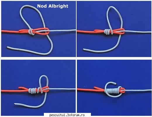 Nodul Albright - mircea - NOTIUNI DE BAZA IN PESCUIT