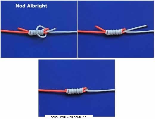 Nodul Albright - mircea - NOTIUNI DE BAZA IN PESCUIT